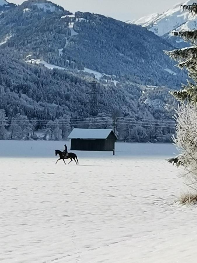 Landhaus Marie Hermagor-Pressegger See Exteriör bild
